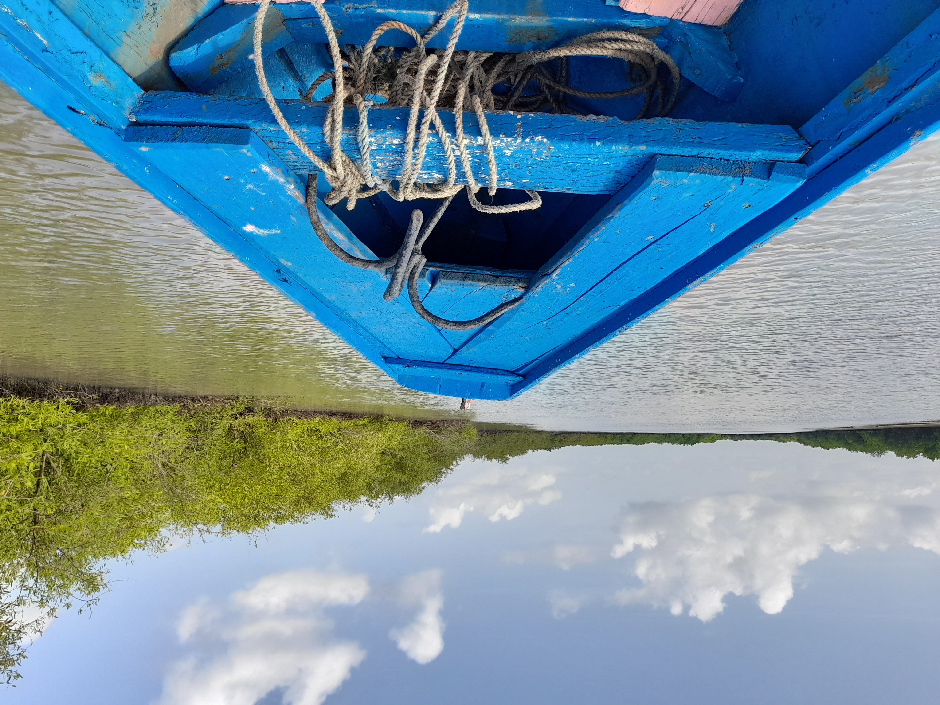 Pirogenfahrt im Mangrovenwald